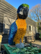 3D 3ft Parrot