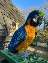 3D 3ft Parrot